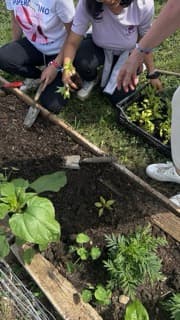 Creciendo juntos: lo que los niños de «Pas cu Pas» aprendieron al plantar un huerto